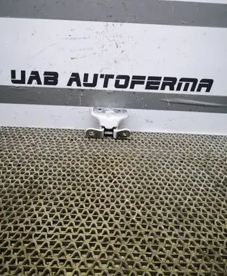 Hyundai i40 Front door lower hinge 