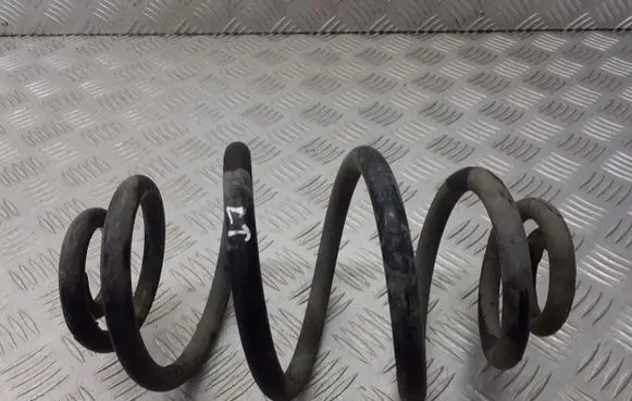 Volkswagen PASSAT B5.5 Rear coil spring