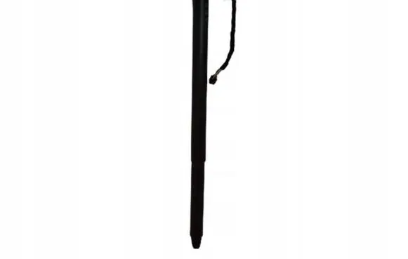 Volkswagen Arteon Tailgate/trunk strut/damper 3G7827851A