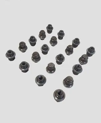 Toyota RAV 4 (XA50) Wheel nut cap/cover