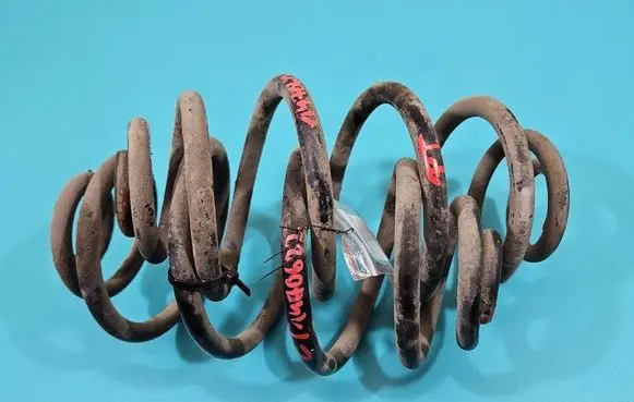 Rear coil spring