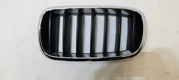 BMW X5 F15 Front bumper upper radiator grill 7316075