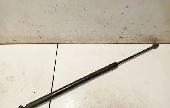Tailgate/trunk strut/damper