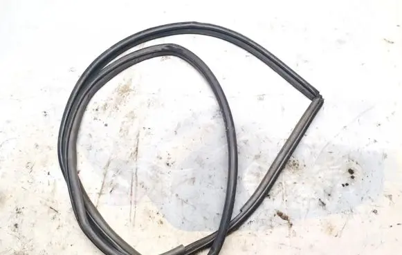 Toyota Prius (XW20) Rubber seal front coupe door 