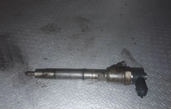 Hyundai i30 Fuel injector 0445110256