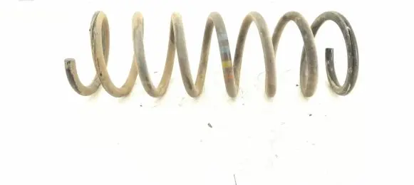 Ford C-MAX I Rear coil spring