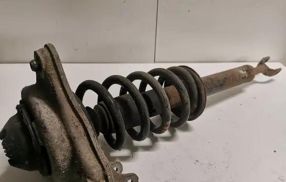 Front shock absorber with coil spring