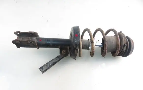 Opel Zafira A Front shock absorber with coil spring DSB040G