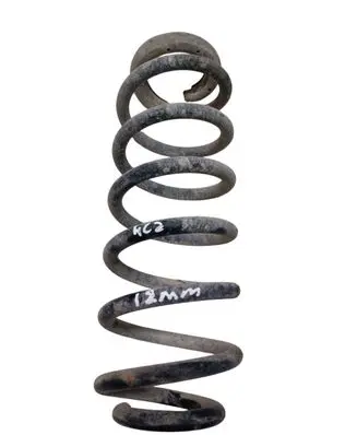 Rear coil spring