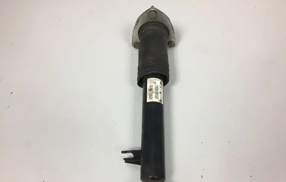 BMW X5 E70 Rear shock absorber/damper 6782878