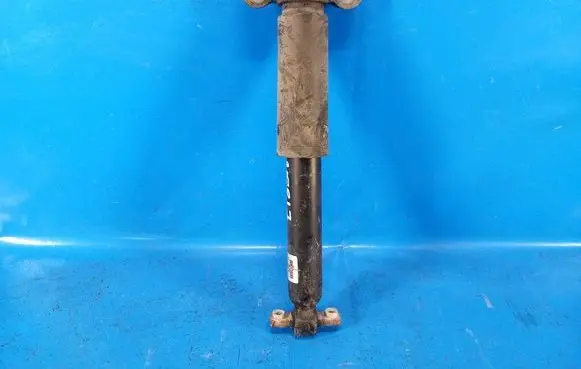 Ford Mustang VI Front shock absorber/damper FR3C18W002