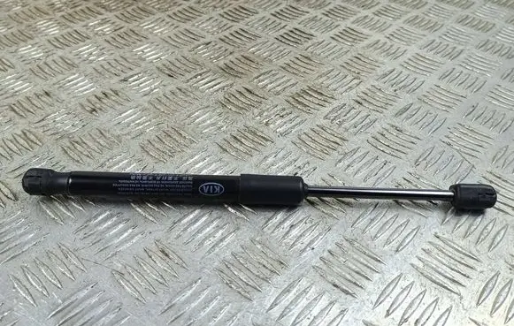 Front bonnet/hood damper/strut