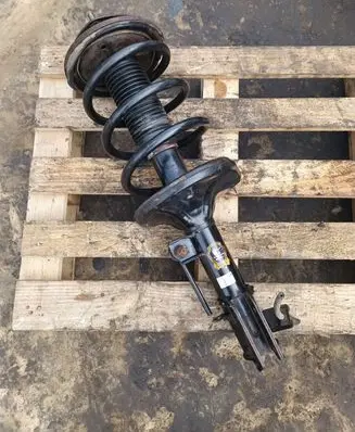 Hyundai Santa Fe Rear shock absorber with coil spring 423093