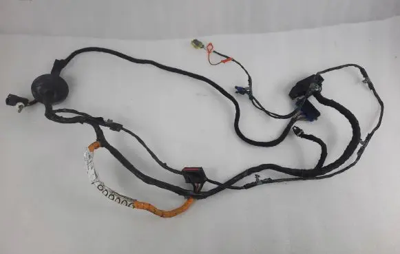 Front door wiring loom