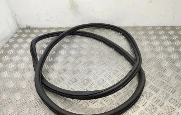 Volkswagen PASSAT B8 Front door rubber seal