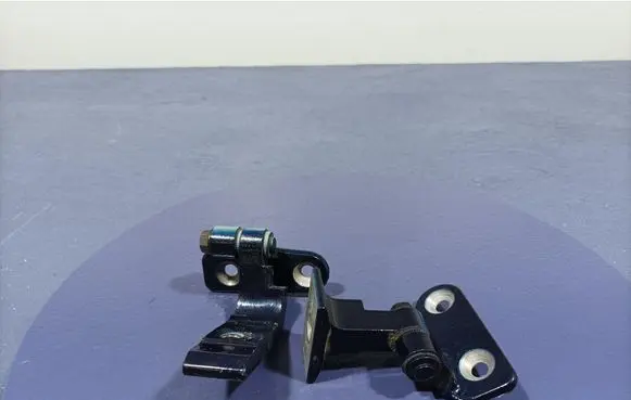 BMW X7 G07 Front door hinge set 7333061