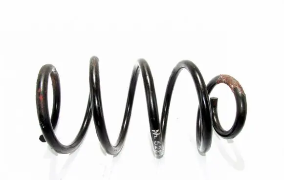 Front coil spring