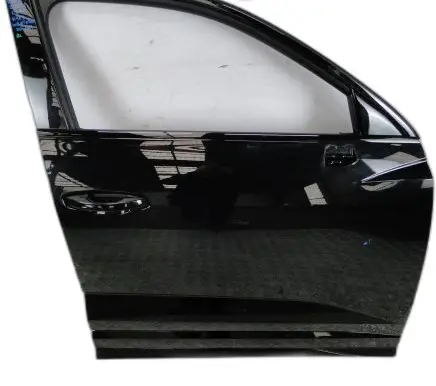 Audi RSQ3 Front door