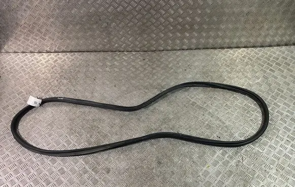 Trunk rubber seal (body)