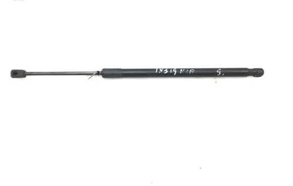 Tailgate strut