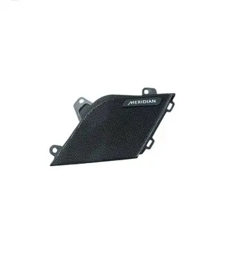 Jaguar XE Dash center speaker trim cover GX7318C862ACW