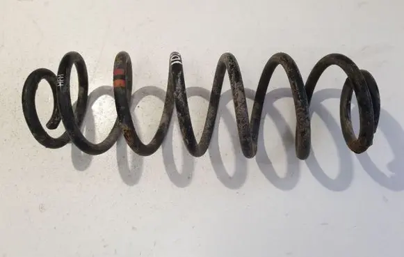 Rear coil spring