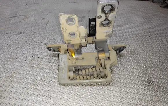 Tailgate/trunk/boot hinge