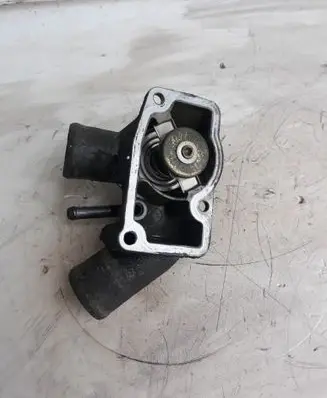 Thermostat/thermostat housing