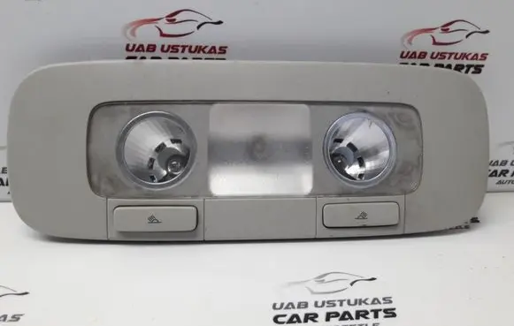Volkswagen PASSAT B6 Rear seat light 3C0947291C
