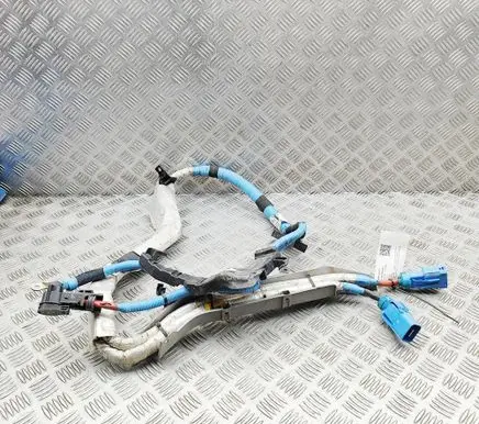 Land Rover Range Rover Evoque L551 Other wiring loom M8D214N164AB