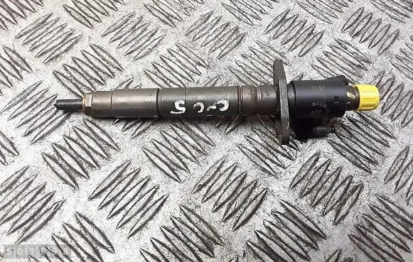 Citroen C5 Fuel injector 0445116013 9x2q9k546db