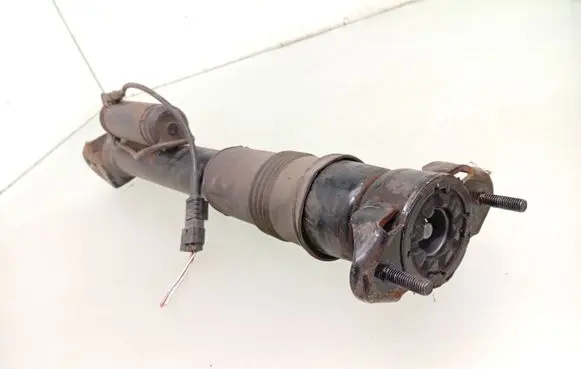 Mercedes-Benz R W251 Rear shock absorber/damper 
