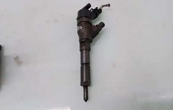 Peugeot 406 Fuel injector 9640088780