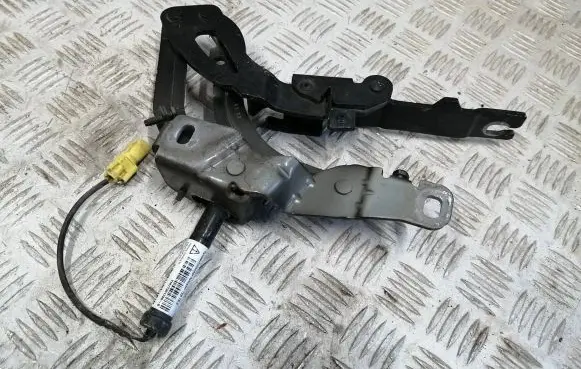 Peugeot RCZ Engine bonnet/hood hinges ym17350180