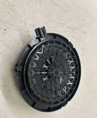 Front door speaker