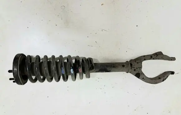 Honda Accord Front shock absorber with coil spring