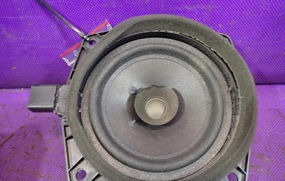 Front door speaker