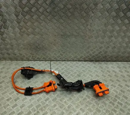 Audi Q4 Sportback e-tron Other wiring loom 1EA971015T 1EA015V1