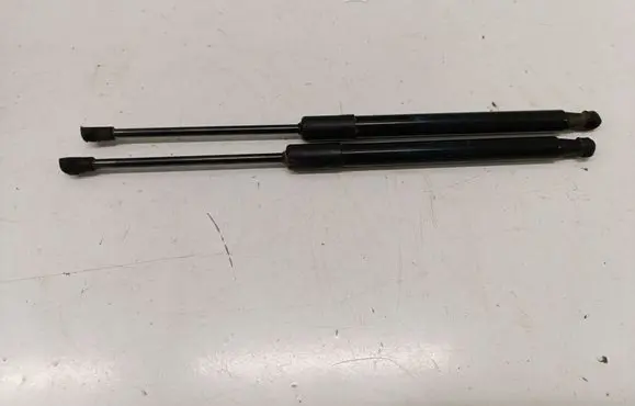 Dacia Duster II Tailgate/trunk strut/damper 904522228R