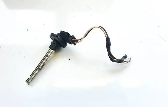 Interior temperature sensor