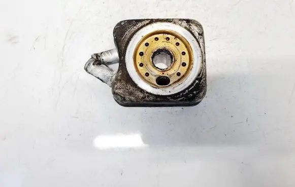 Volkswagen PASSAT B5.5 Engine oil radiator 