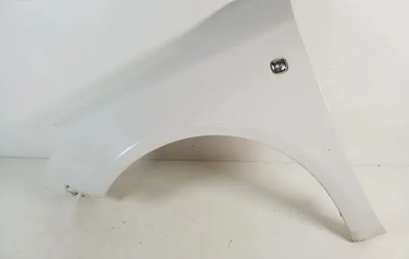 Skoda Fabia Mk3 (NJ) Fender 5J0821021A
