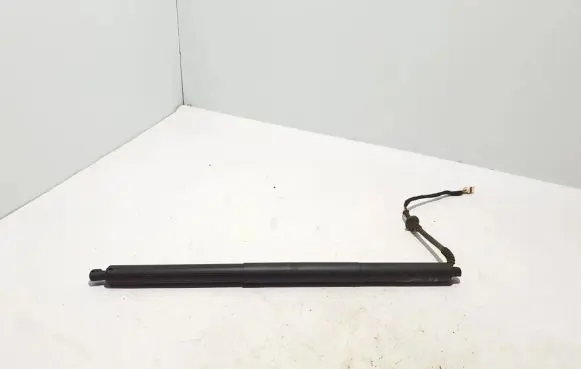 Rear shock absorber/damper