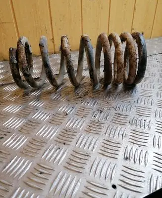 Rear coil spring