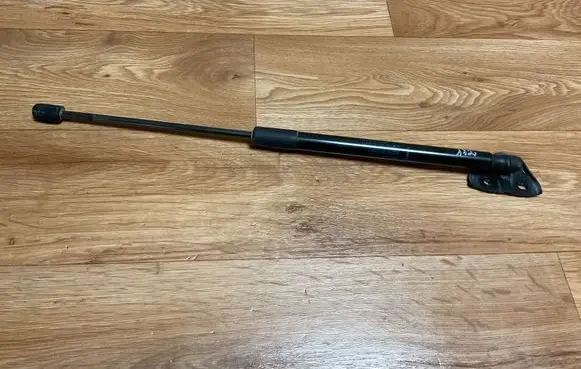 Tailgate/trunk strut/damper