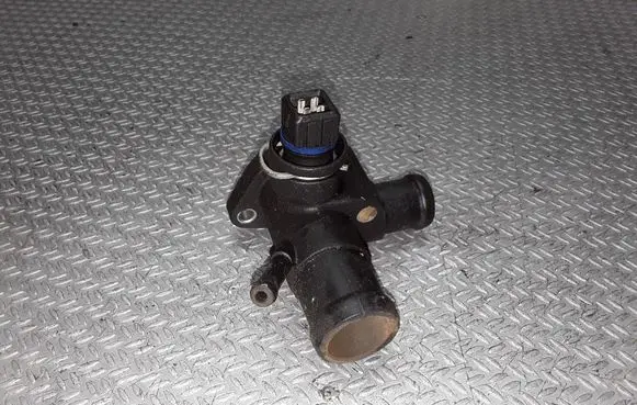 Ford Galaxy Engine coolant pipe/hose