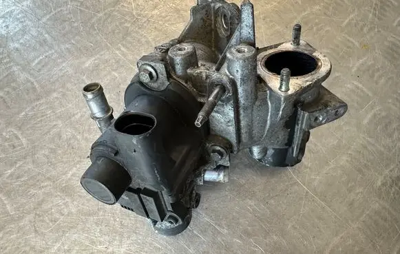 Nissan Juke I F15 EGR valve 8200836385