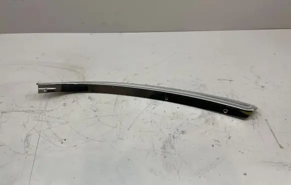 Mercedes-Benz S W116 Trim molding 1166980189