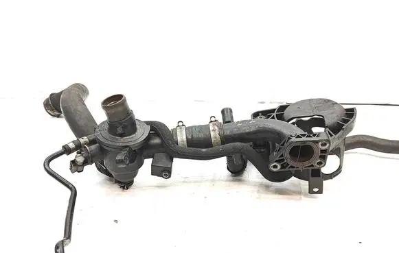 Thermostat/thermostat housing