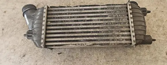 Peugeot Expert Intercooler radiator E5542007 1440094280 000043335C